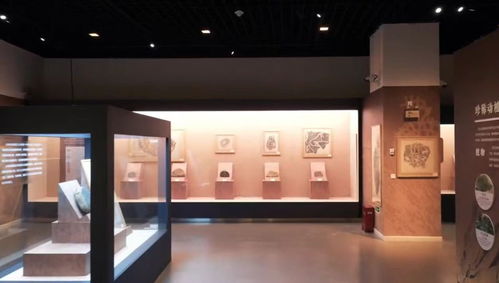 宁夏贺兰山岩画展亮相浙江自然博物院