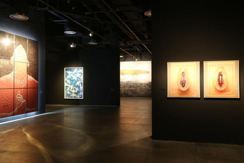 2018年展览大回顾 合美术馆